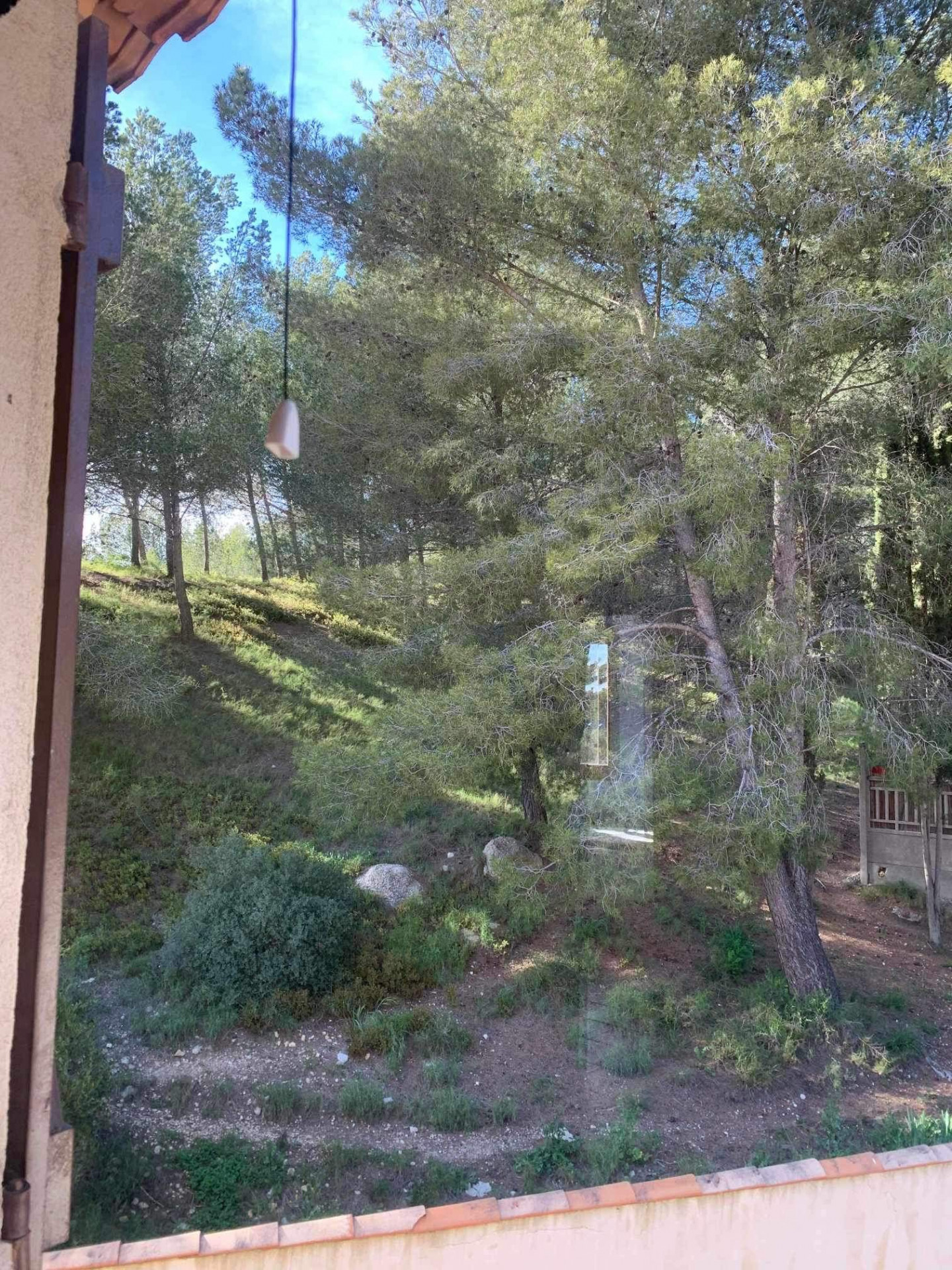 T4 - zwischen Meer und Hügeln_Sausset-les-Pins