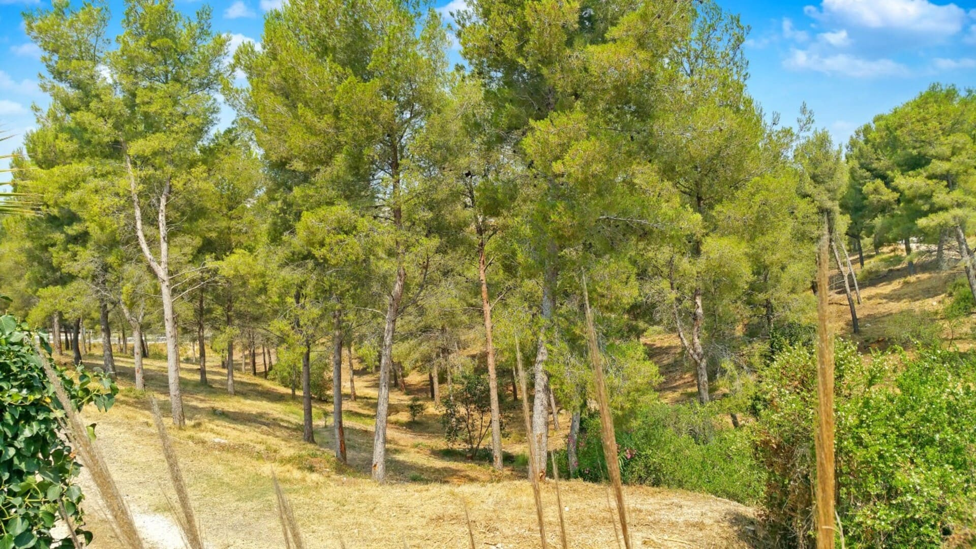 T4 avec piscine et jardin privé - Plage à 800 m_Carry-le-Rouet