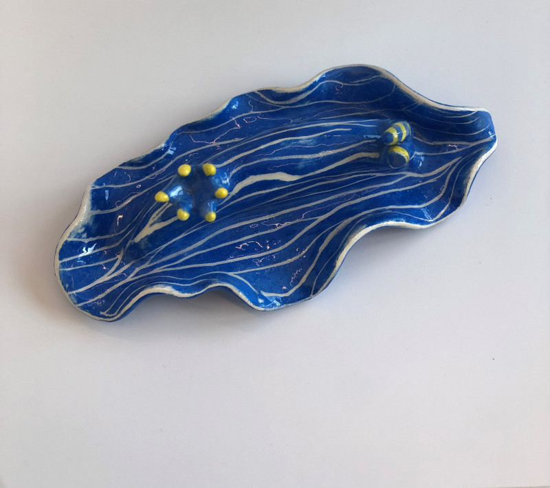 nudibranche-bleu-roi-34-5-3981