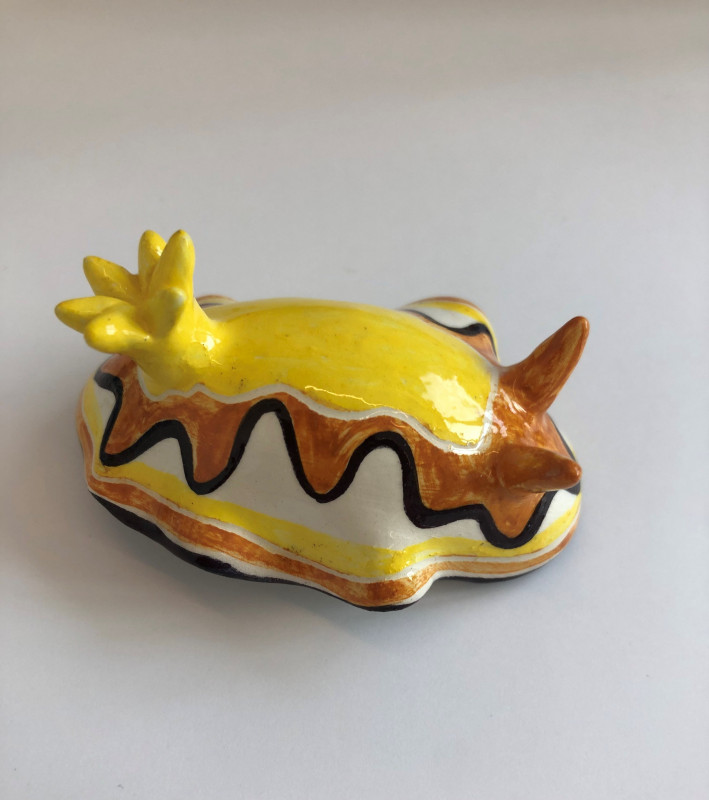 nudibranche-orange-jaune-21-3979