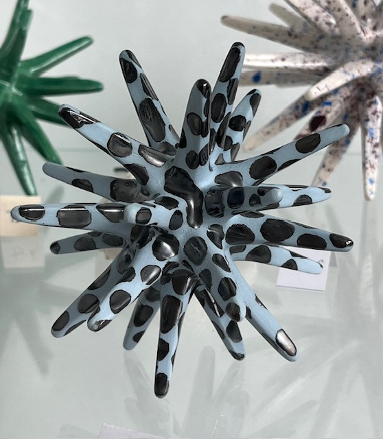 oursin-bleu-ciel-tache-noire-7671