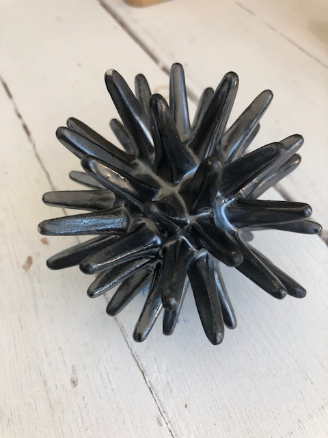 oursin-noir-m-tallis-10-cm-6392