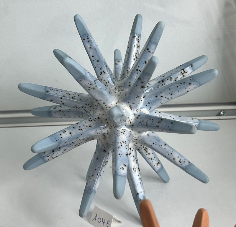 oursin-pointes-bleu-ciel-7669