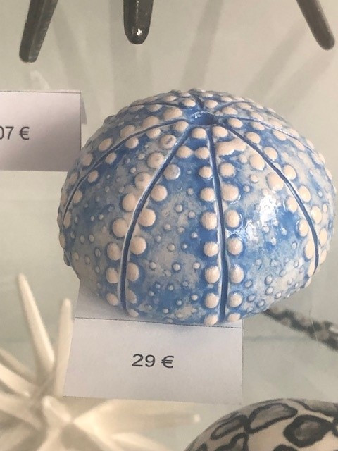 oursin-sans-pique-bleu-29-5387