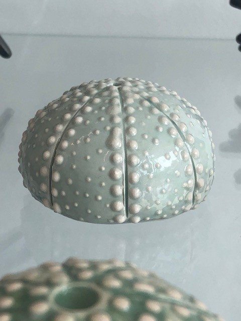 oursin-sans-pique-vert-iceberg29-7673